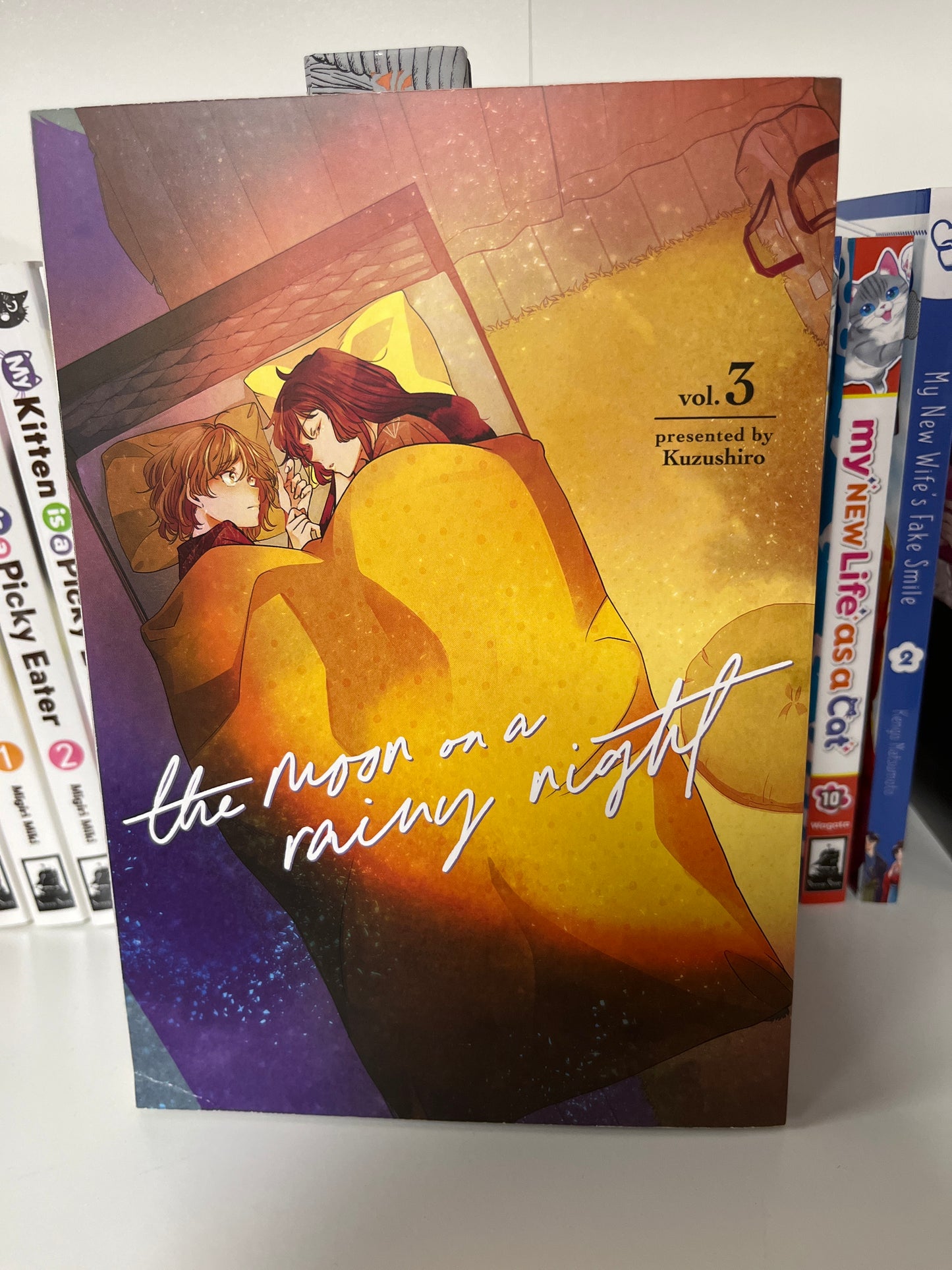 The Moon on a Rainy Night Volume 3 (Older Teen 16+)