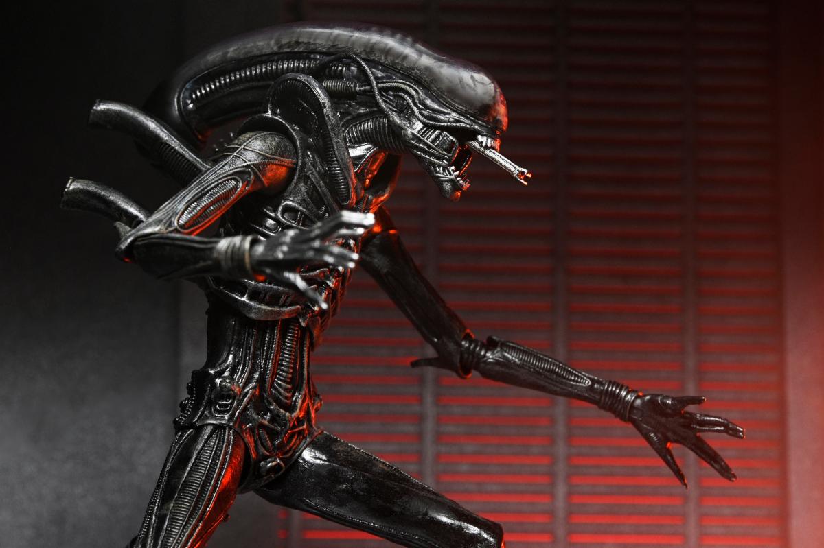 Alien Romulus: Xenomorph XX121 - Ultimate 7 inch Scale Action Figure