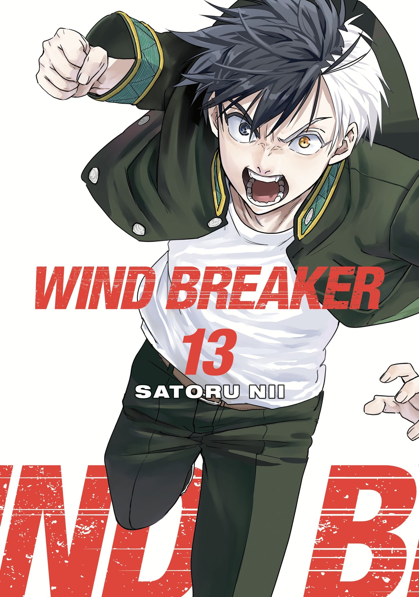 Wind Breaker 13 (Rated Older Teen)