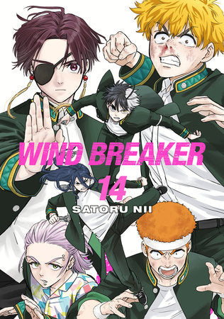 Wind Breaker Volume 14 (Teen+)