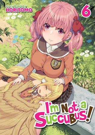 I'm Not a Succubus!: Vol. 6 (Mature 18+)
