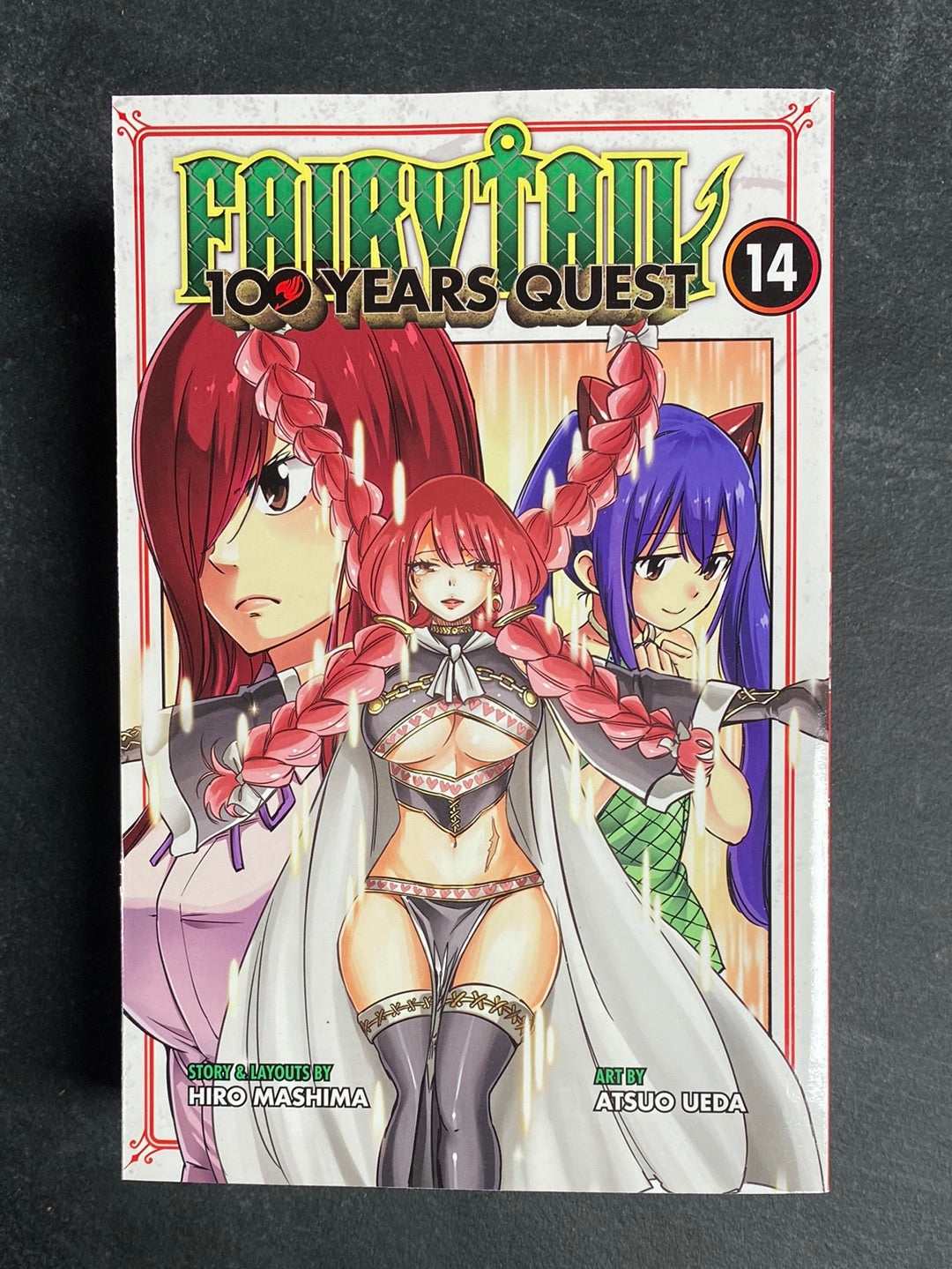 Fairytail - 100 Years Quest Vol. 14 (Teen) - Videguy Collectibles