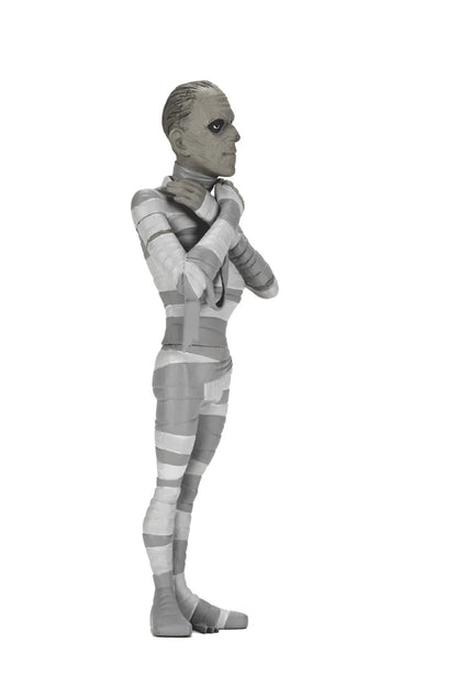Universal Monsters: The Mummy (Silver Screen Edition) (Series 10) - Toony Terrors 6" Action Figure