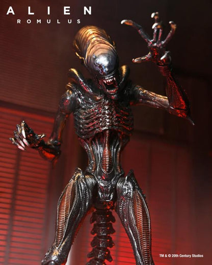 Alien: Romulus - Scorched Xenomorph - 7 inch Action Figure