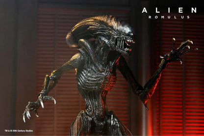 Alien: Romulus - Scorched Xenomorph - 7 inch Action Figure