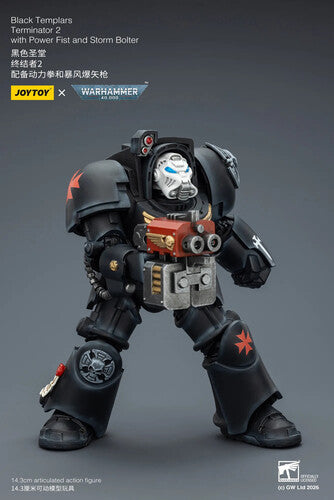 Warhammer 40K: Black Templars - Terminator 2 with Power Fist and Storm Bolter - 1/18 Scale Action Figure