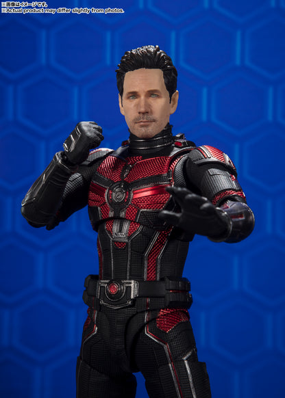 Ant-Man and the Wasp: Quantumania - Ant-Man - S.H. Figuart