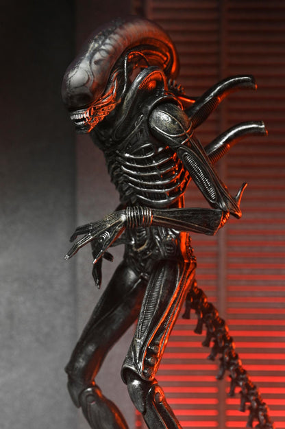 Alien Romulus: Xenomorph XX121 - Ultimate 7 inch Scale Action Figure