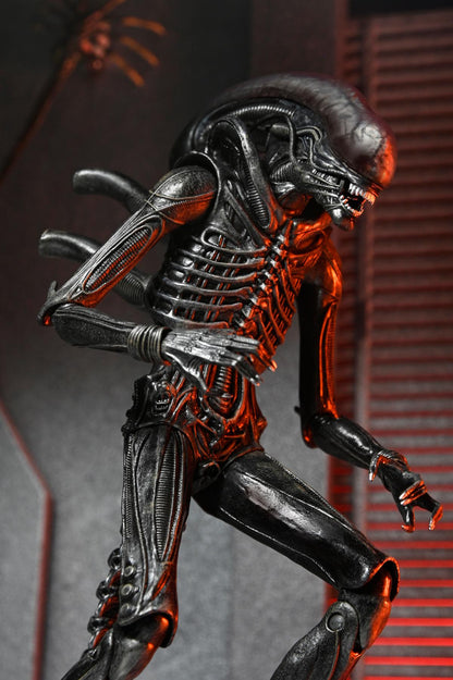 Alien Romulus: Xenomorph XX121 - Ultimate 7 inch Scale Action Figure