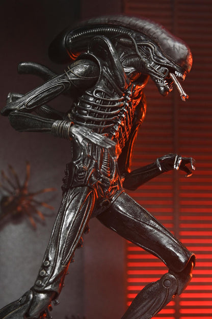 Alien Romulus: Xenomorph XX121 - Ultimate 7 inch Scale Action Figure