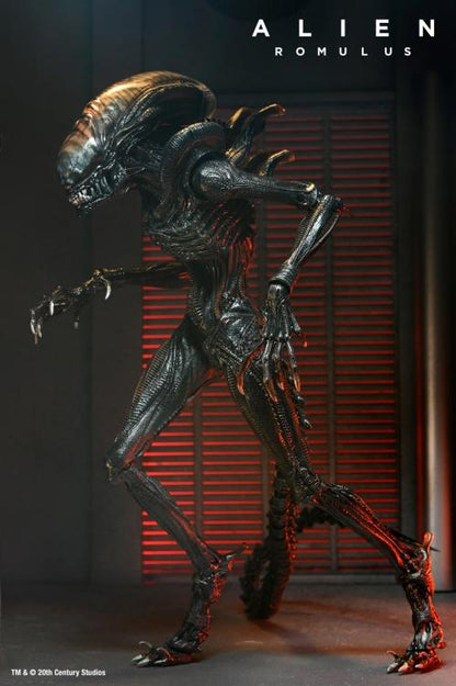 Alien: Romulus - Scorched Xenomorph - 7 inch Action Figure