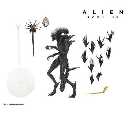 Alien: Romulus - Scorched Xenomorph - 7 inch Action Figure