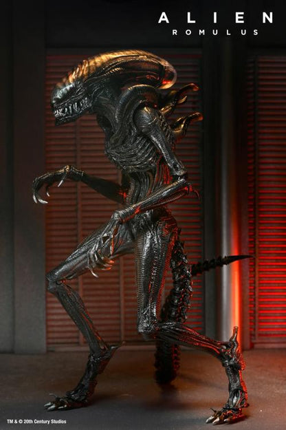 Alien: Romulus - Scorched Xenomorph - 7 inch Action Figure