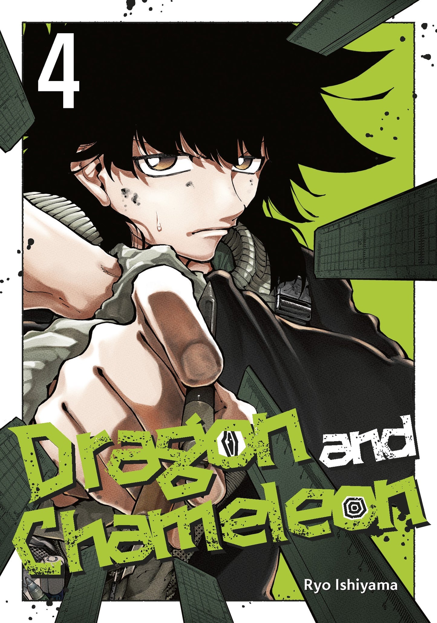 Dragon and Chameleon Vol. 4 (Older Teen)