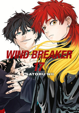 Wind Breaker Vol. 17 (Older Teen)