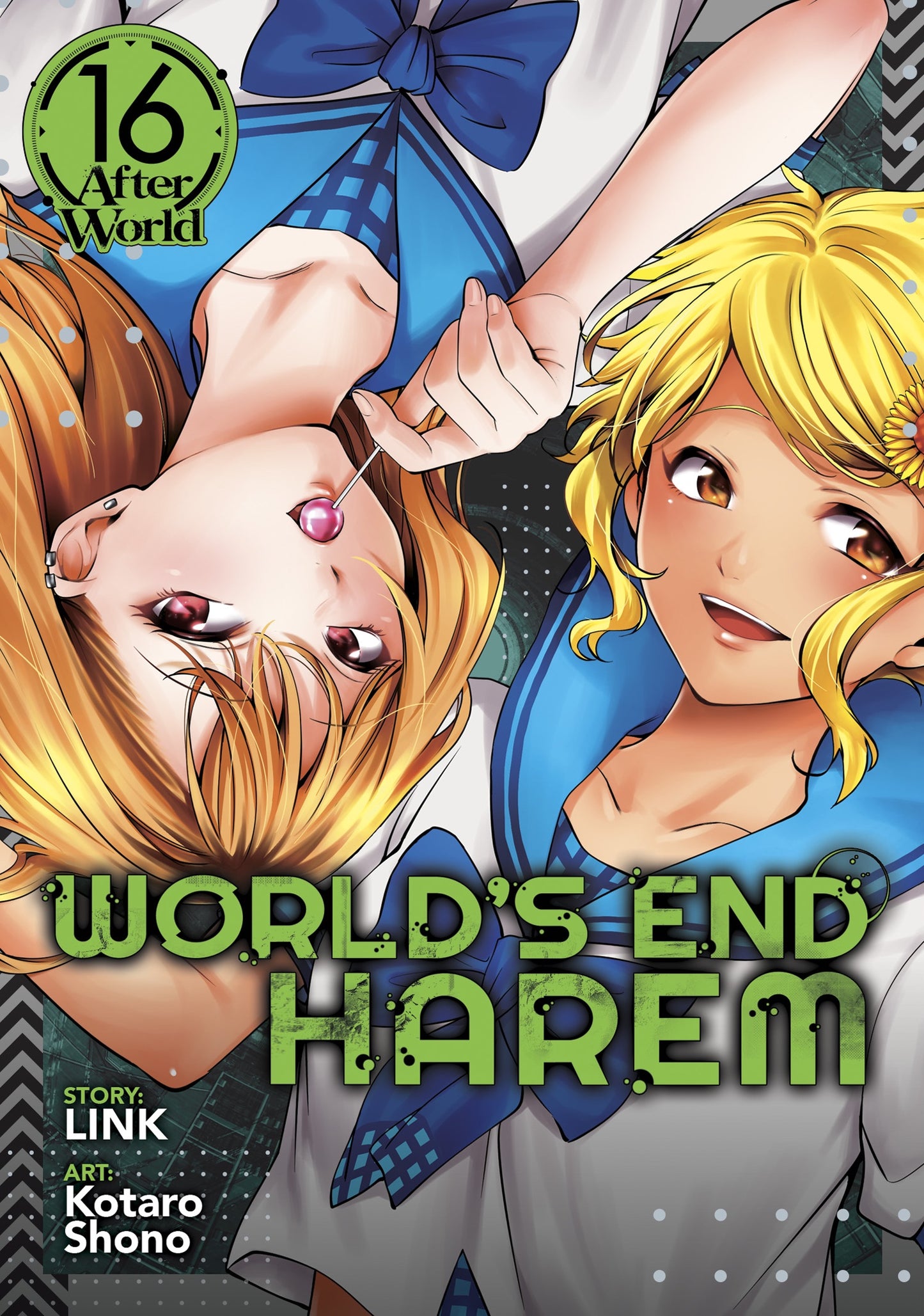 World's End Harem Vol 16 (Rated Mature)