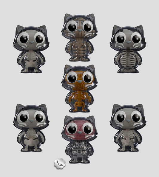 Catscans (Bare Bones) Blind Box by Kaleidos Creative - Videguy Collectibles