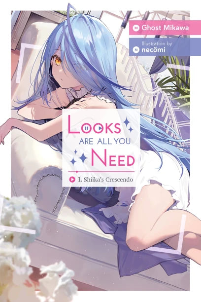 Looks Are All You Need (Light Novel)