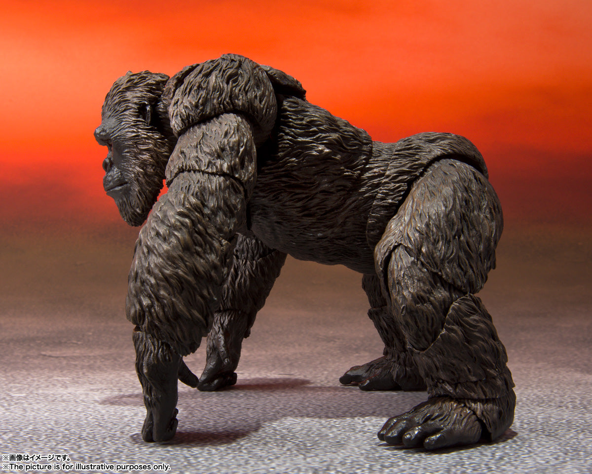 Godzilla Vs Kong - Kong (2021) - S.H.MonsterArts
