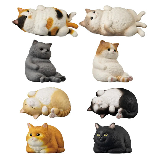 Mocchiri Kororin: Cat Blind Boxes