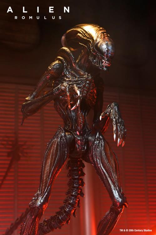 Alien: Romulus - Scorched Xenomorph - 7 inch Action Figure