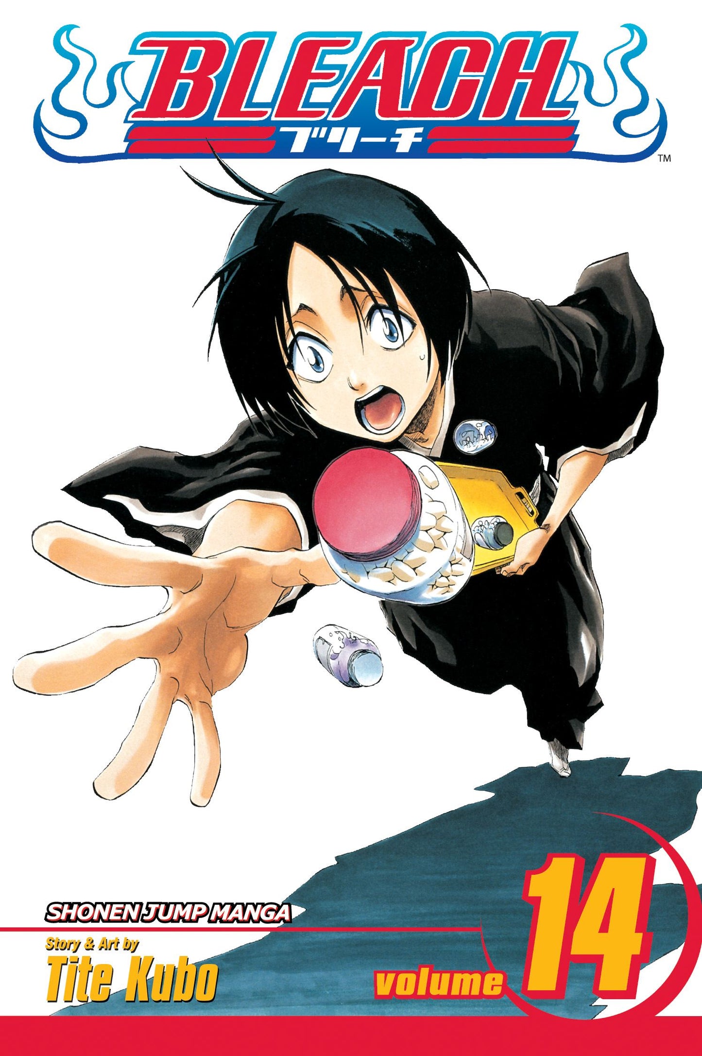 Bleach Vol. 14 (Teen)