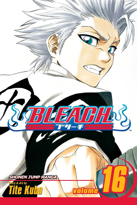 Bleach Vol. 16 (Teen)