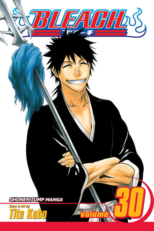 Bleach Vol. 30 (Teen)