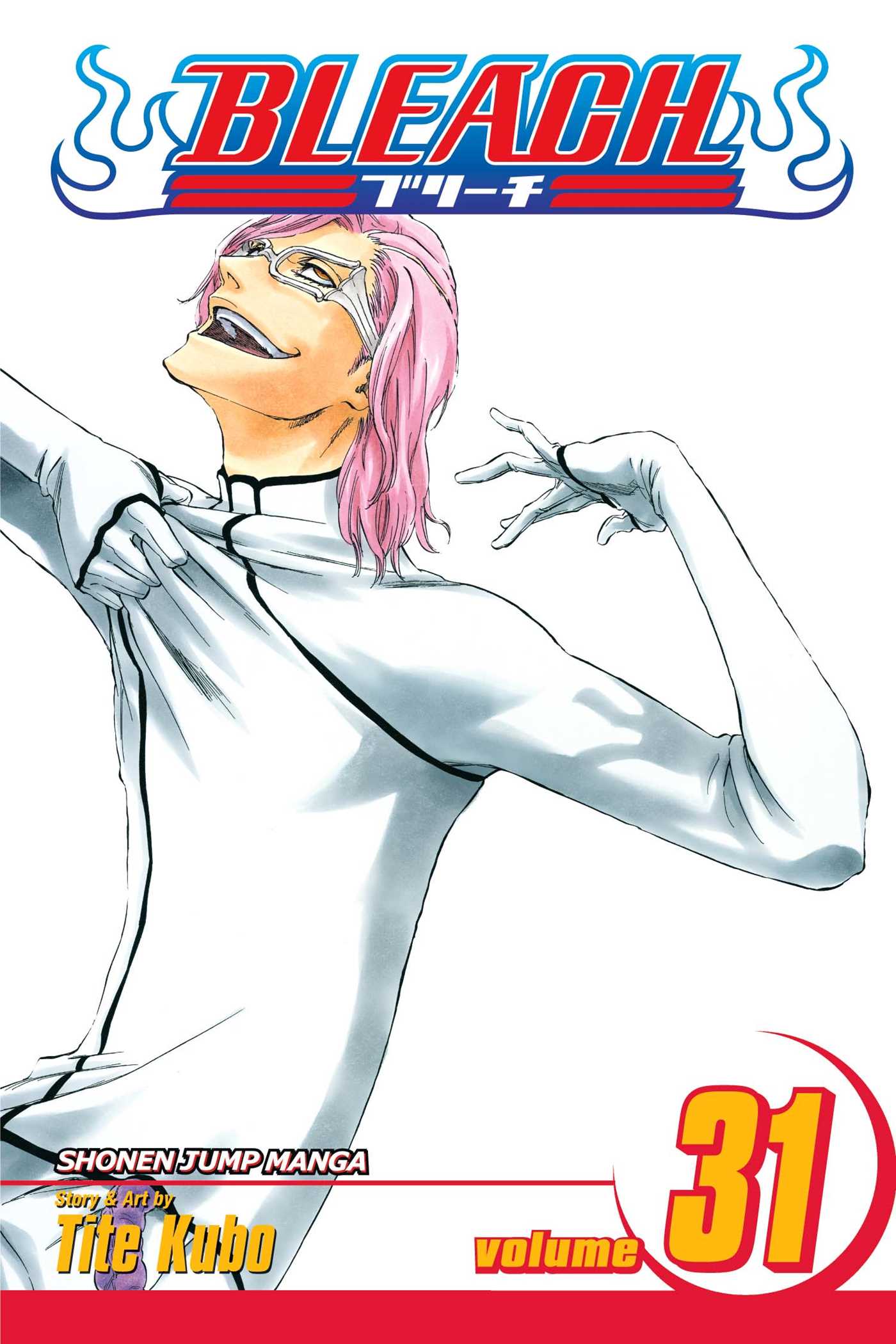 Bleach Vol. 31 (Teen)