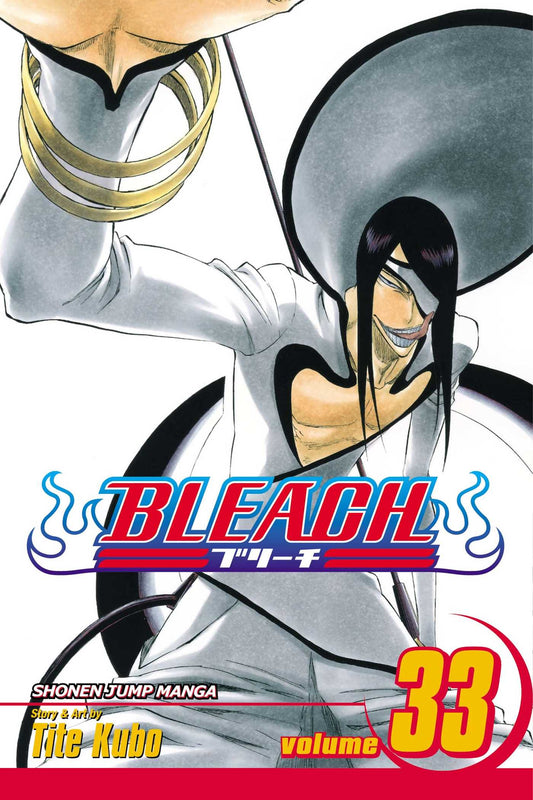 Bleach Vol. 33 (Teen)