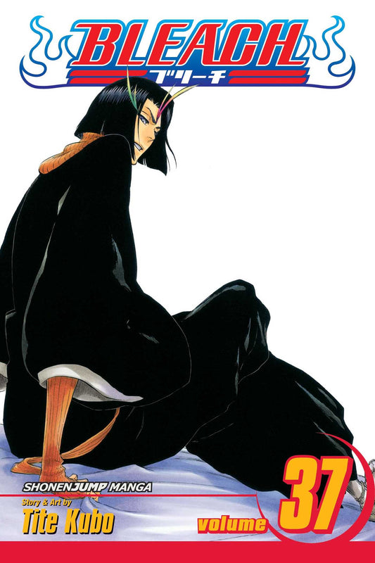 Bleach Vol. 37 (Teen)