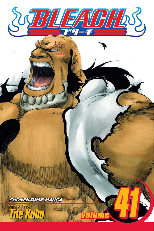 Bleach Vol. 41 (Teen)