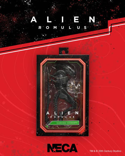 Alien: Romulus - Scorched Xenomorph - 7 inch Action Figure