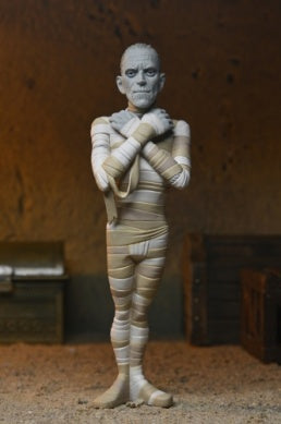Universal Monsters: The Mummy - Toony Terrors (Series 10) Action Figure
