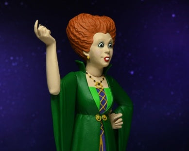 Hocus Pocus: Winifred Sanderson - Toony Terrors Action Figure