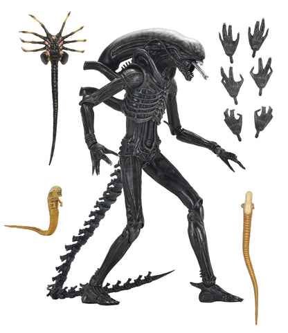 Alien Romulus: Xenomorph XX121 - Ultimate 7 inch Scale Action Figure